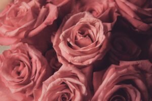 valentines_day_outfits_love_siempre – Love Siempre valentines_day_outfits_love_siempre