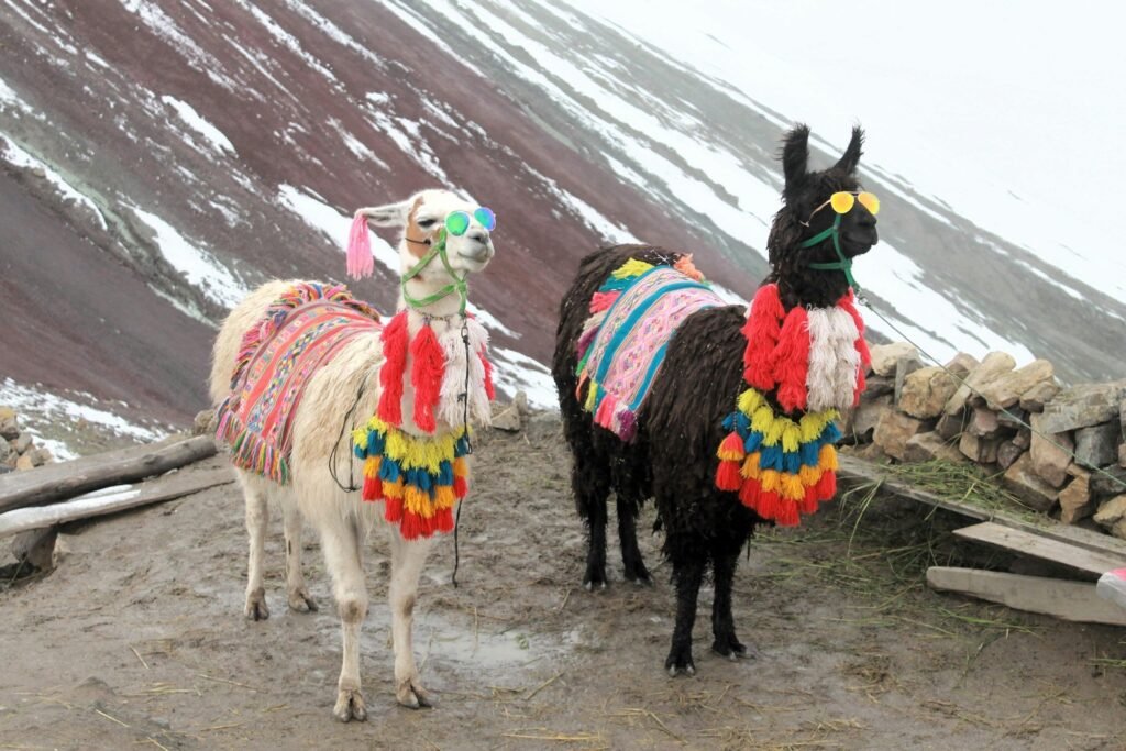 Spring_Equinox_Love_Siempre