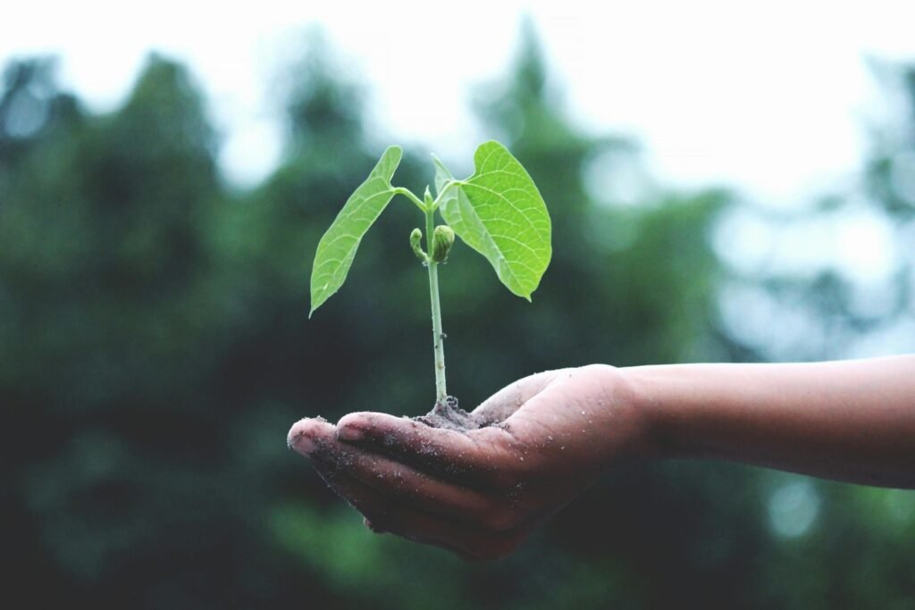 Earth_Day_love Siempre